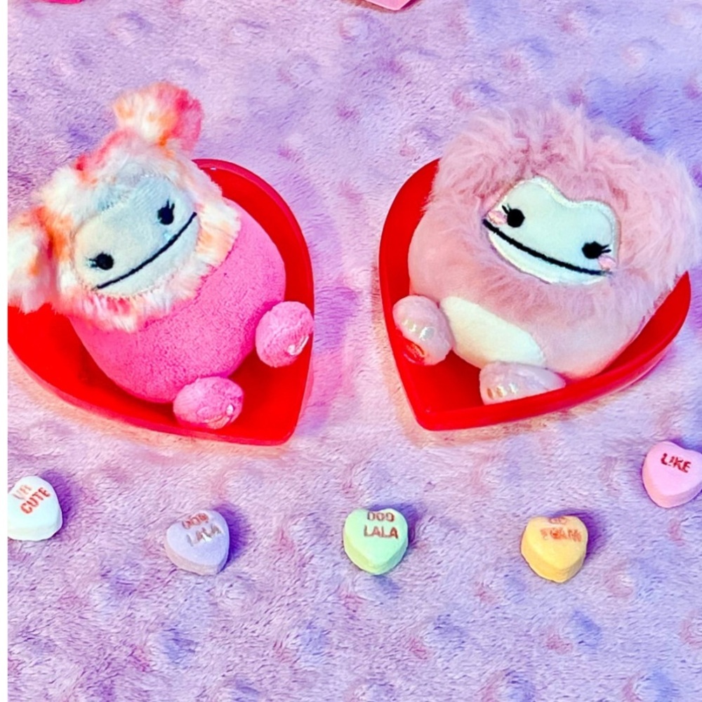 Hailey the Pink BIG FOOT SQUISHVILLE by Squishmallows 3” NWOT 💕🌸💐 - Picture 6 of 16